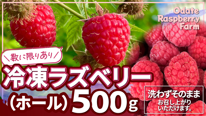 【期間・数量限定】冷凍ラズベリー（ホール）500g