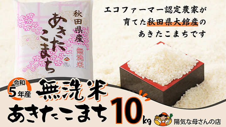 令和5年産【無洗米】あきたこまち10kg(10kg×1袋)
